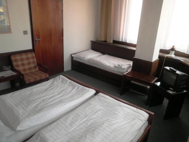 Hotel Vladimir Usti nad Labem Room photo